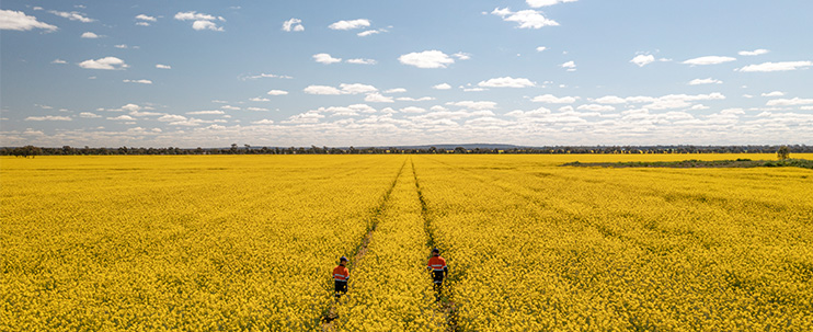 星空体育以7.56亿美元出售NPM铜金矿80%权益